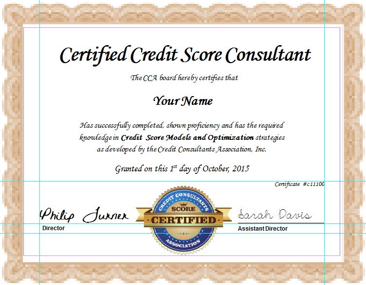 Credit Repair License