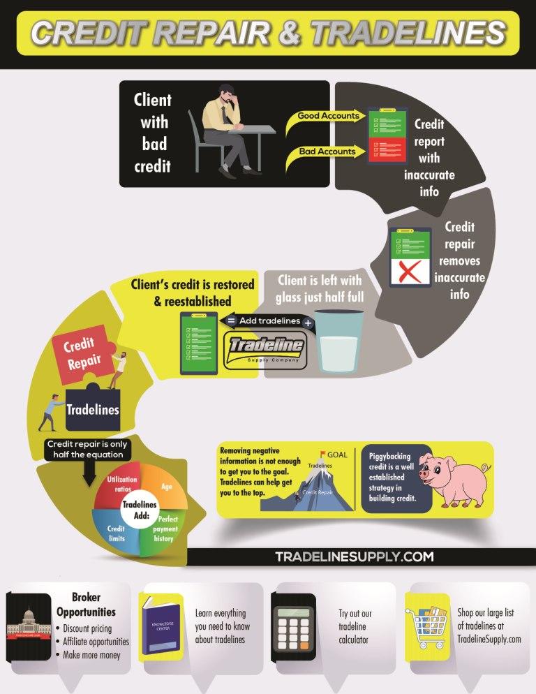 Credit Repair Scheme