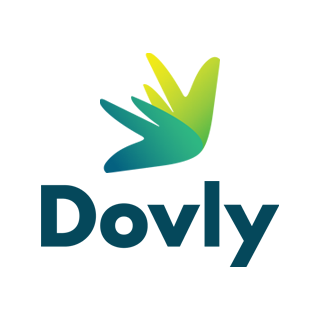 Dovly Credit Repair