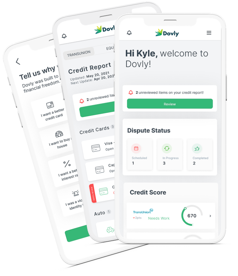 Dovly Credit Repair