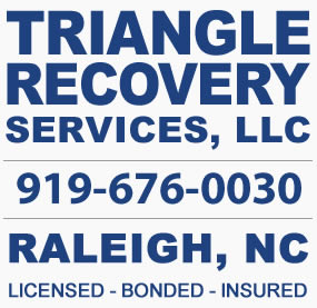 Raleighs Road To Credit Recovery: Professional Repair Services