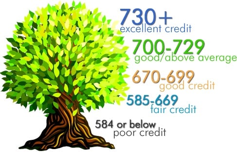 How Can I Improve My Credit Score In Evansville Indiana?