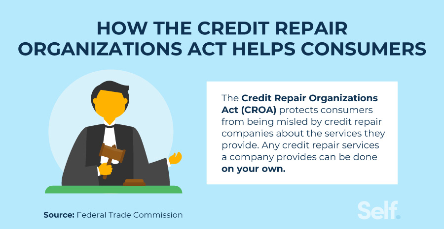 How Long Does Credit Repair Typically Take And When Will I See Results?