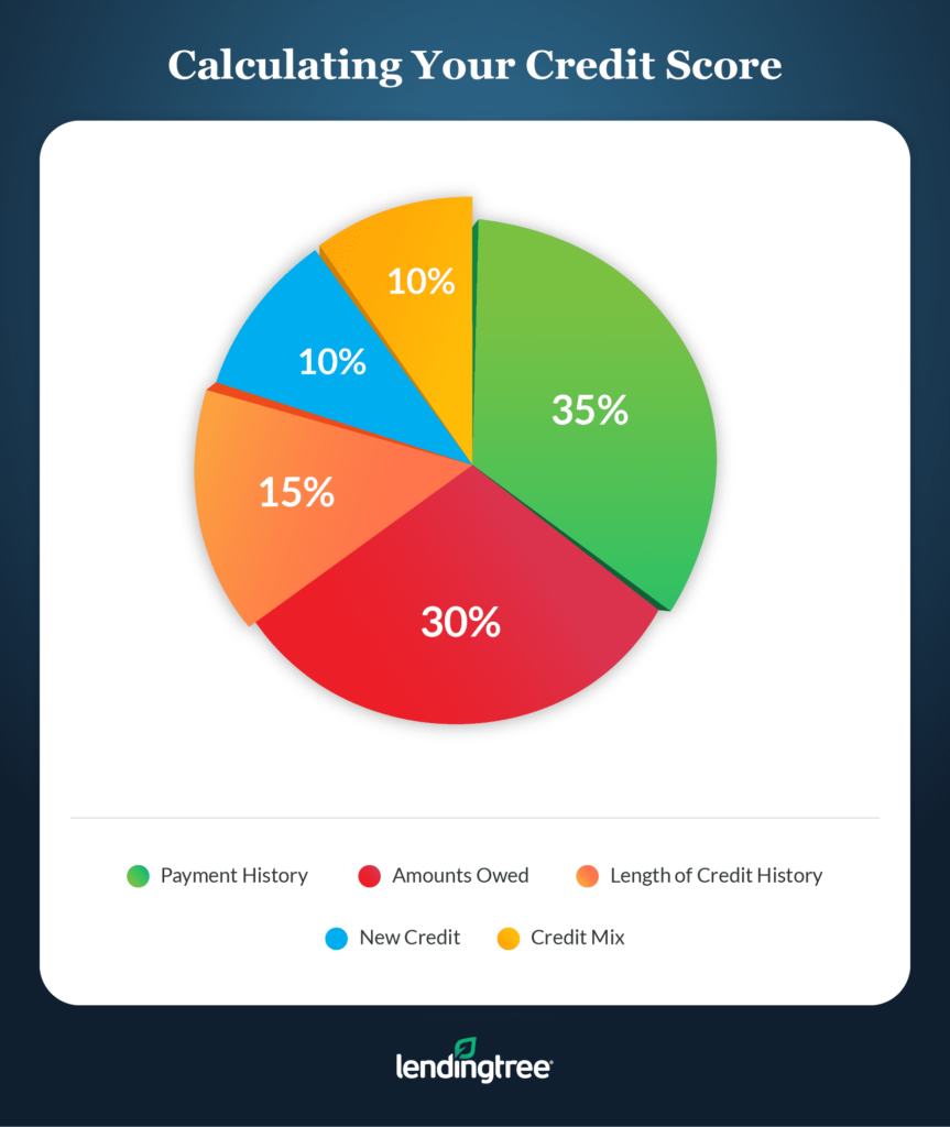 What Factors Affect My Credit Score And How Can I Improve It?